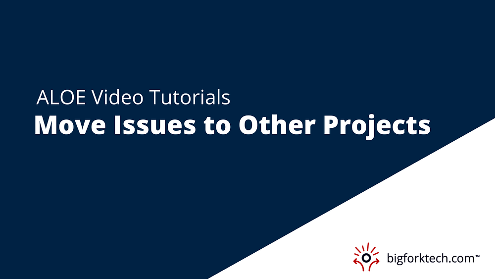 Move Issues to Other Projects Image